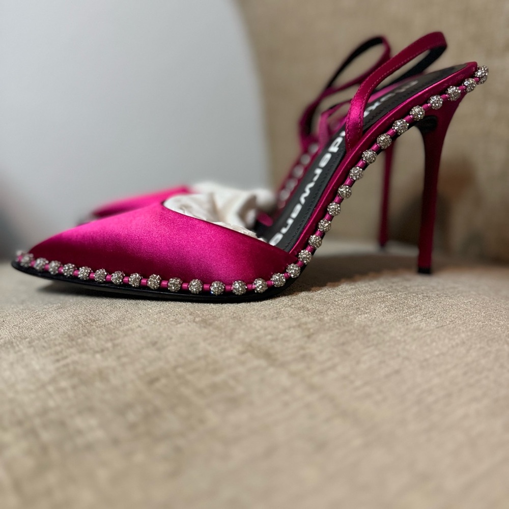 Brand new Alexander Wang Heels